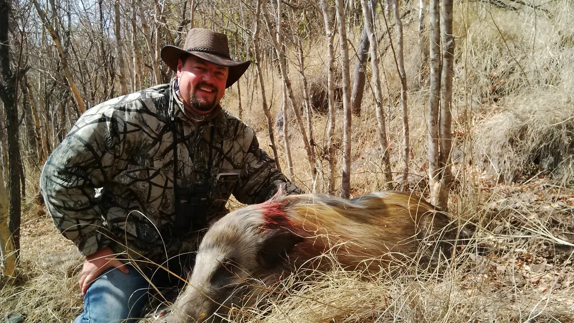 Bushpig
