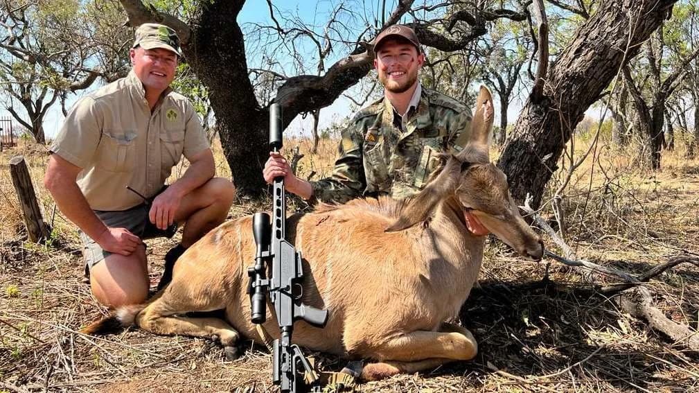 Cape Eland