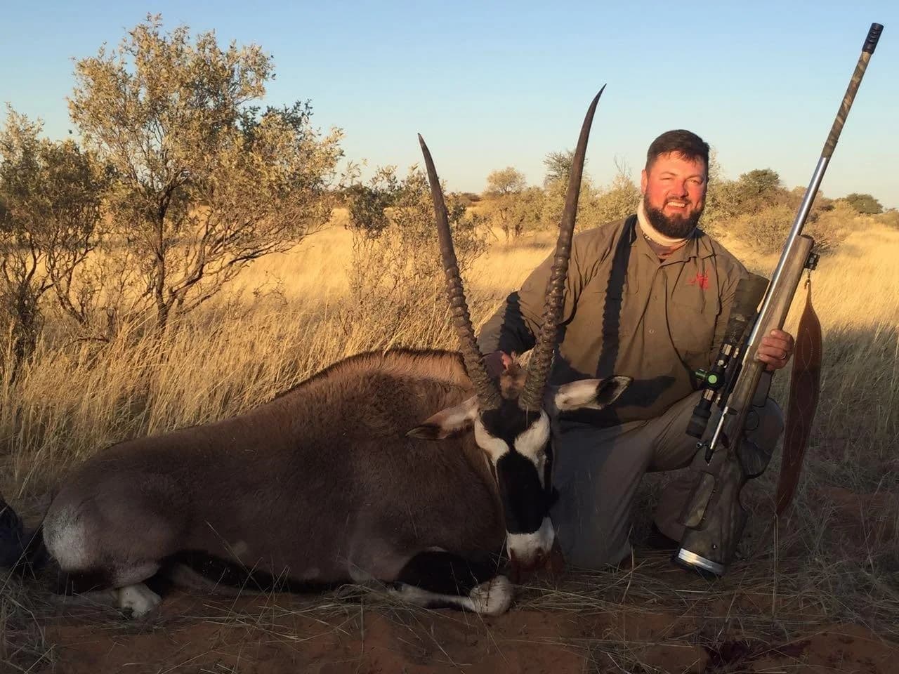 Gemsbok (Oryx)