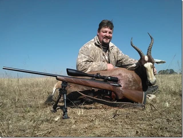 Free State Grassland Blesbok Ram