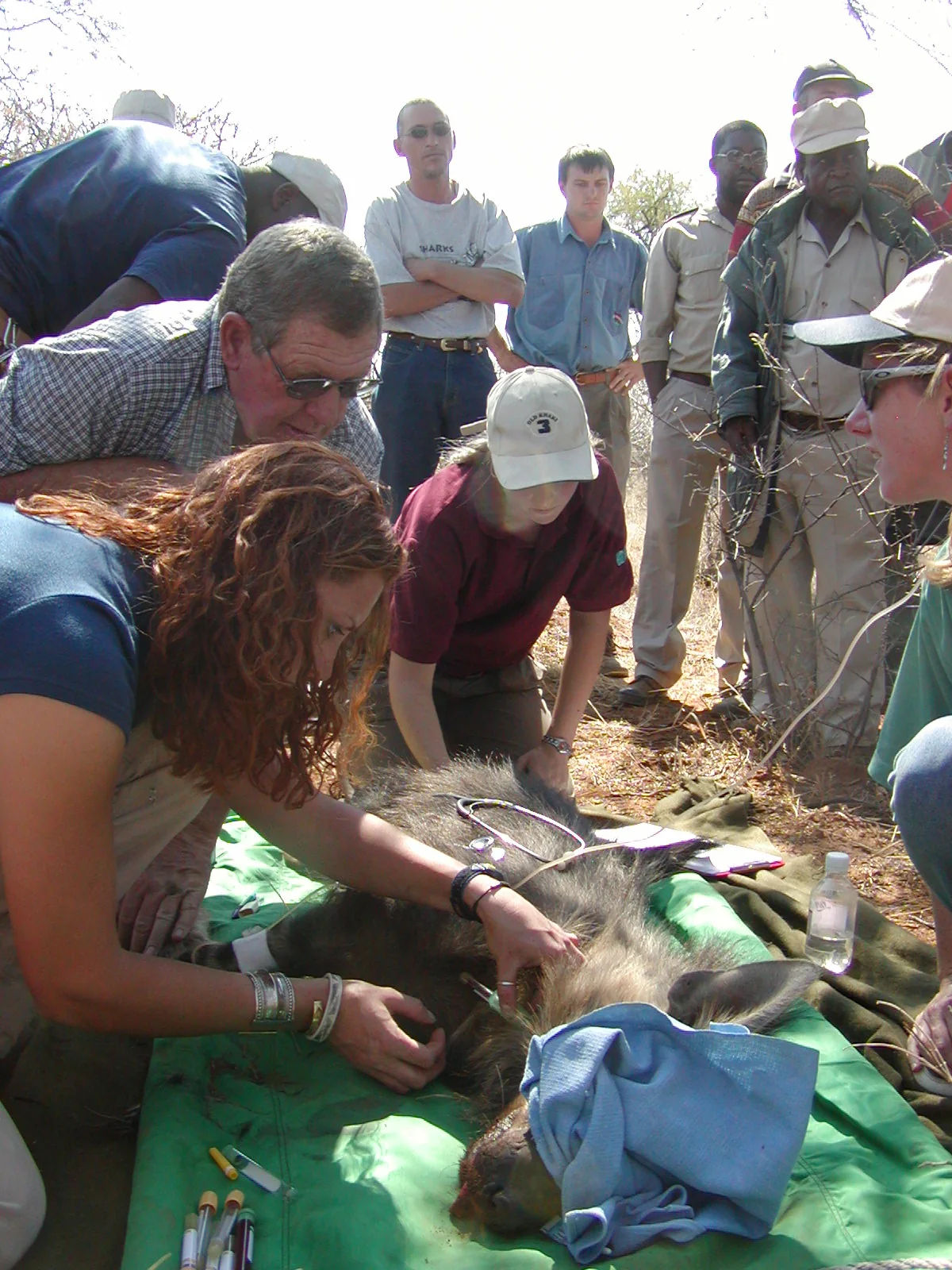 University Research Expedition · Clinical Team