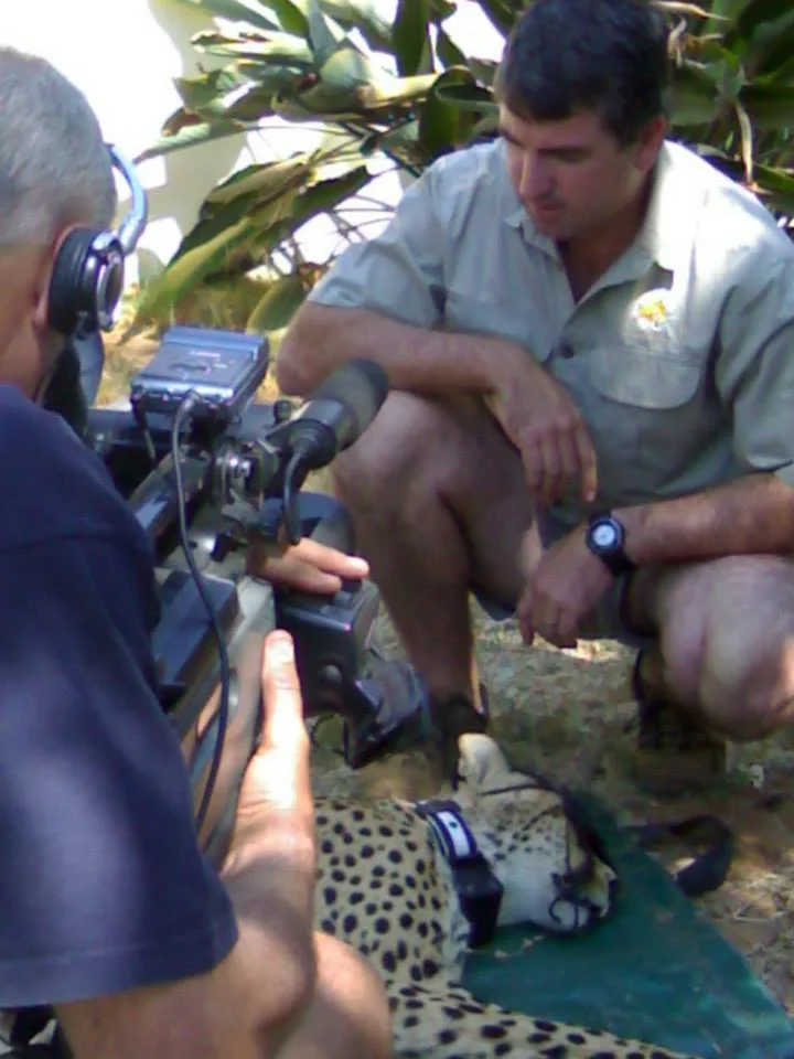 Field Media Production · Cheetah Conservation Filming
